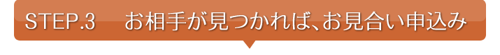 ガイド